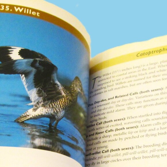 NWOT Know Your Bird Sounds Book Volume 2  Lang Elliott Audio CD Vol 2 - Picture 4 of 14